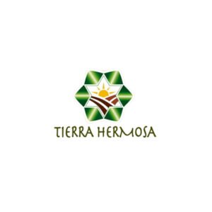 LOGO33