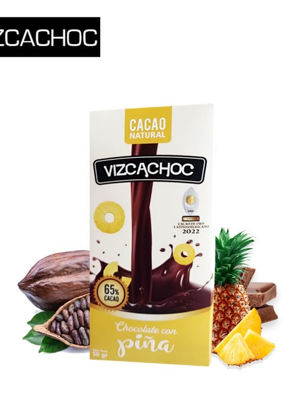 VIZCACHOC2