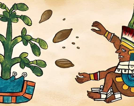 chocolate-historia-evolucion-1024x488-730x420